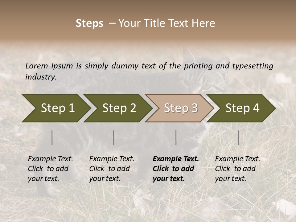 A Cat Standing In A Field Of Grass PowerPoint Template