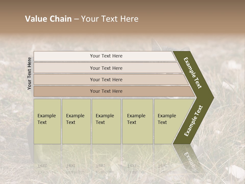 A Cat Standing In A Field Of Grass PowerPoint Template