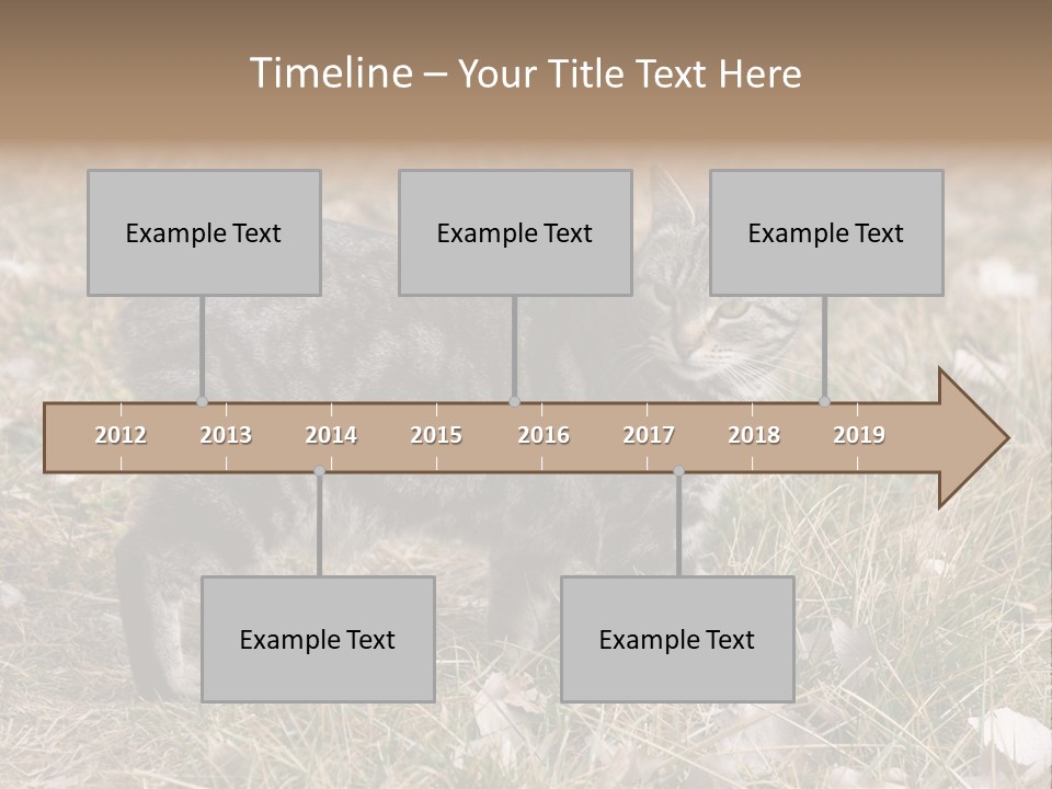 A Cat Standing In A Field Of Grass PowerPoint Template