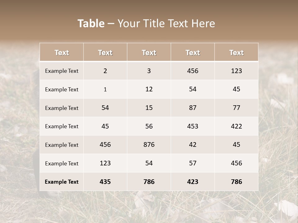 A Cat Standing In A Field Of Grass PowerPoint Template