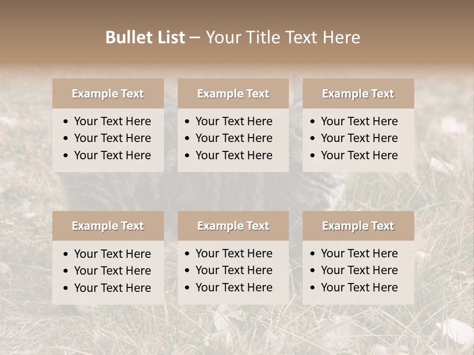 A Cat Standing In A Field Of Grass PowerPoint Template