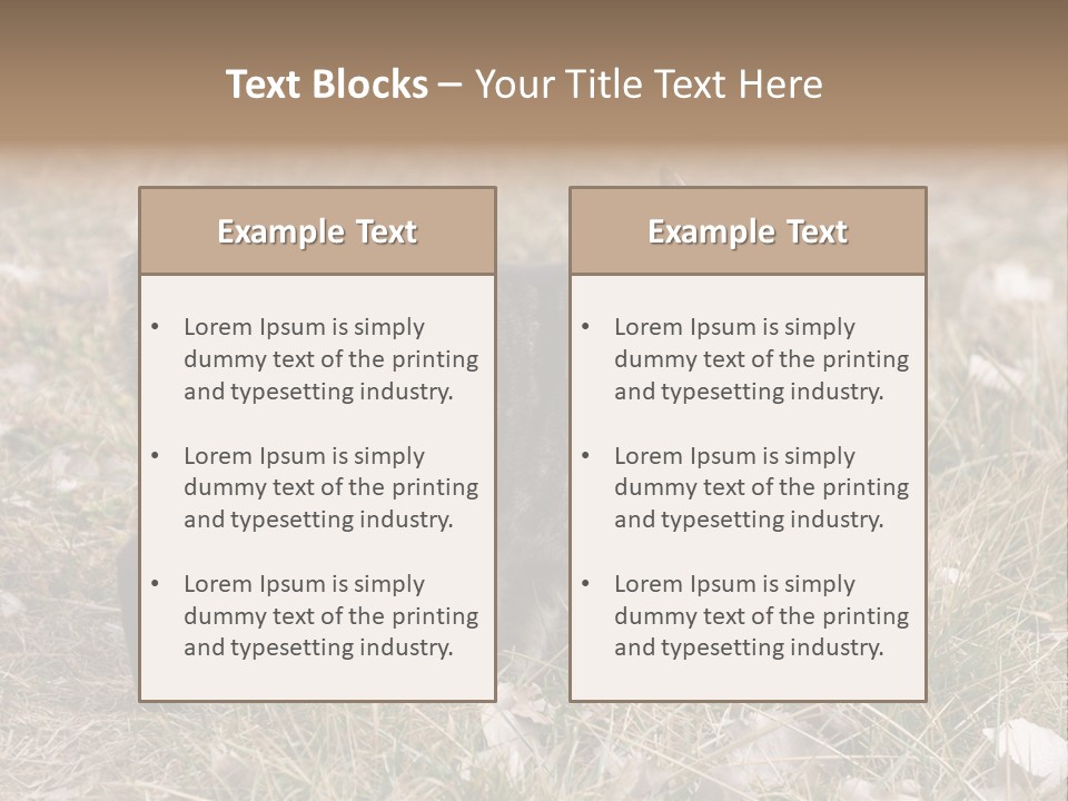 A Cat Standing In A Field Of Grass PowerPoint Template