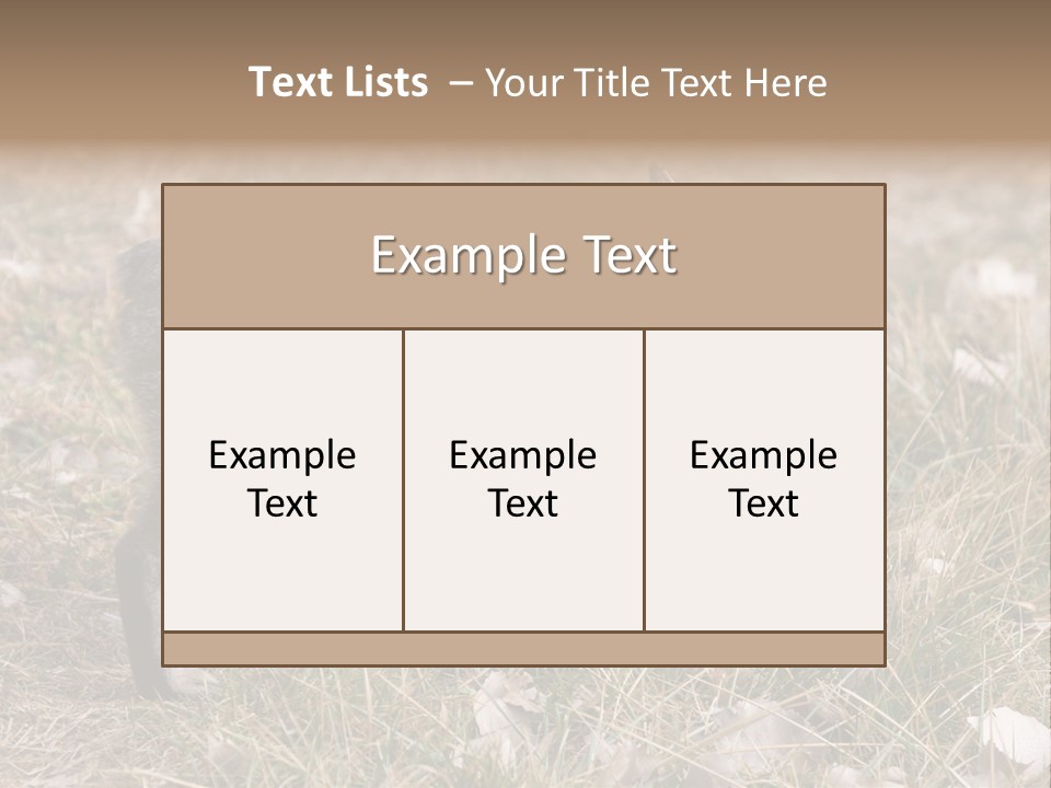A Cat Standing In A Field Of Grass PowerPoint Template