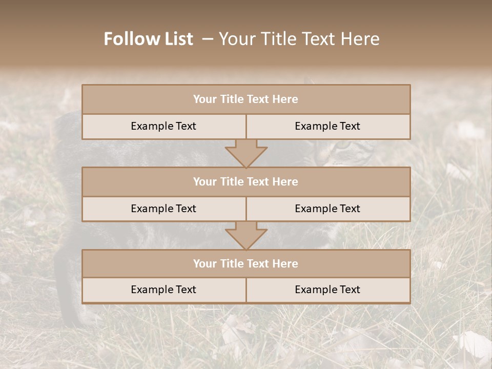 A Cat Standing In A Field Of Grass PowerPoint Template