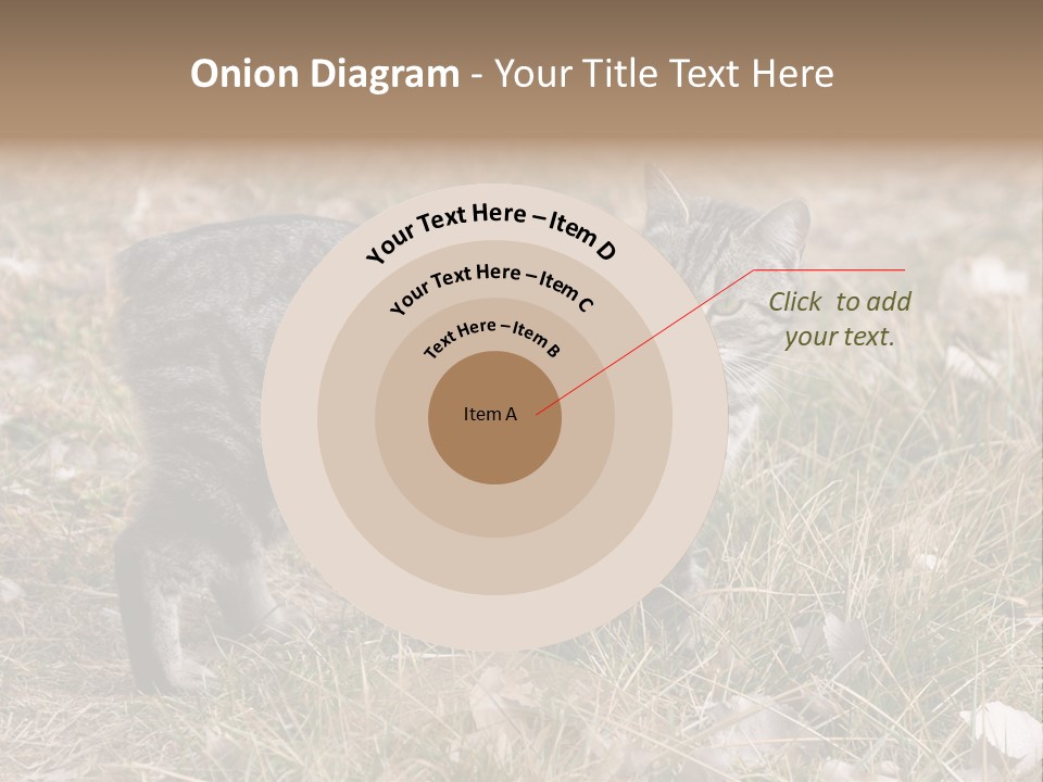 A Cat Standing In A Field Of Grass PowerPoint Template