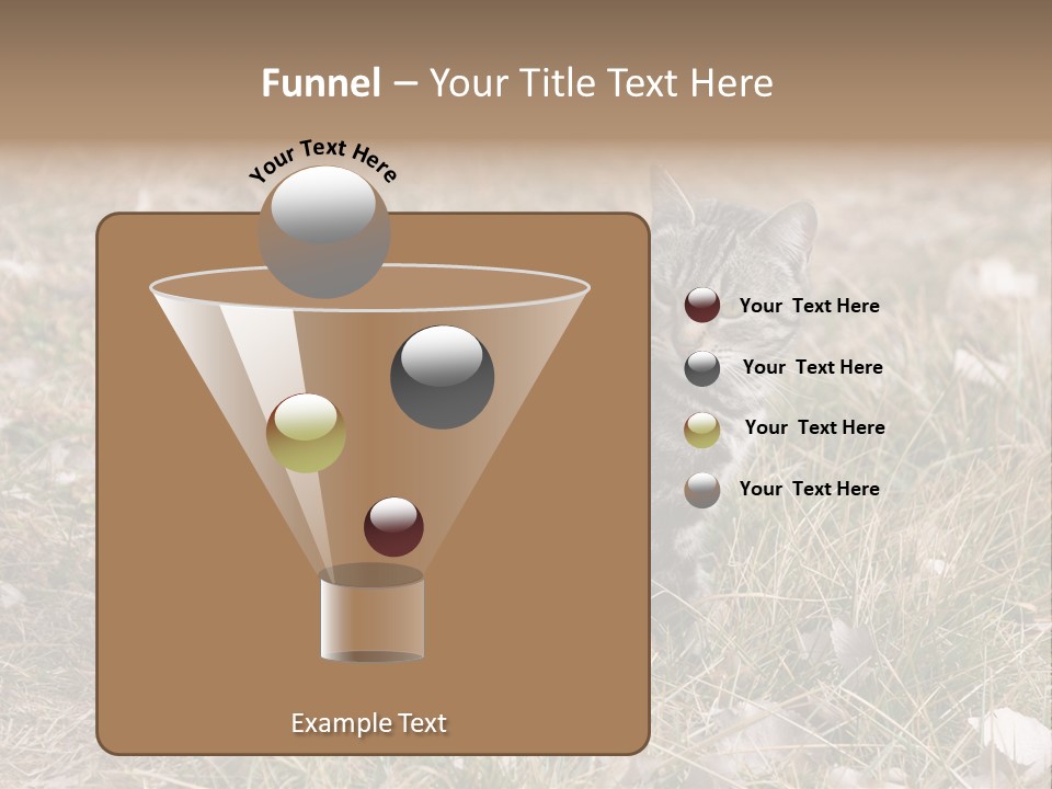 A Cat Standing In A Field Of Grass PowerPoint Template