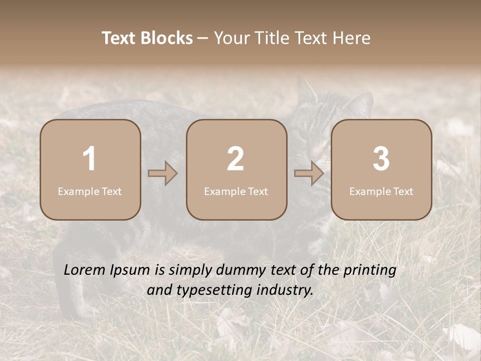 A Cat Standing In A Field Of Grass PowerPoint Template