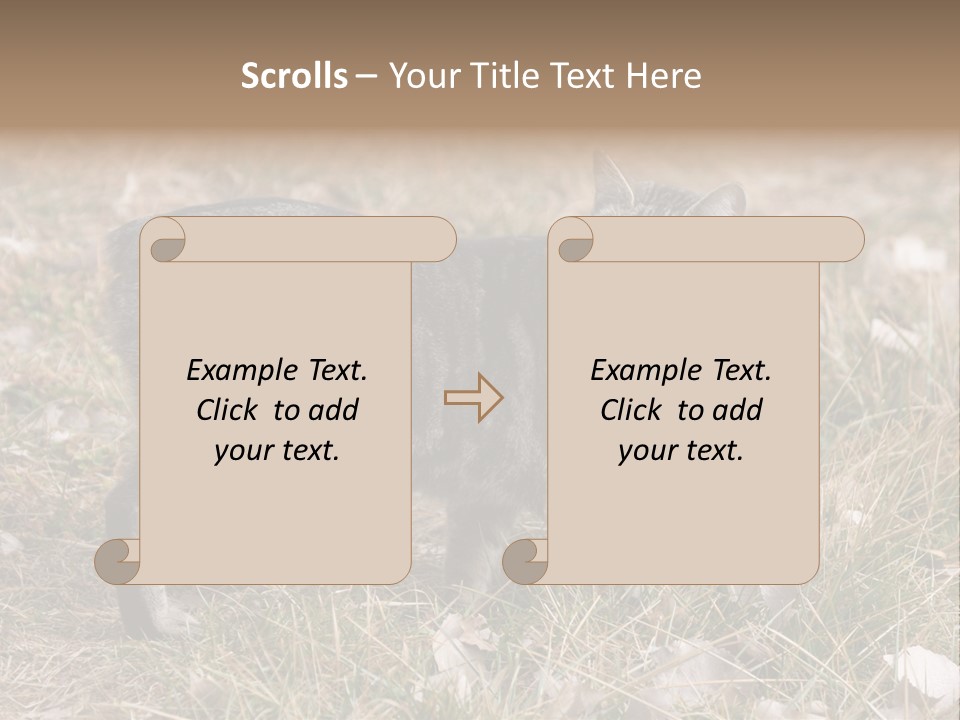 A Cat Standing In A Field Of Grass PowerPoint Template