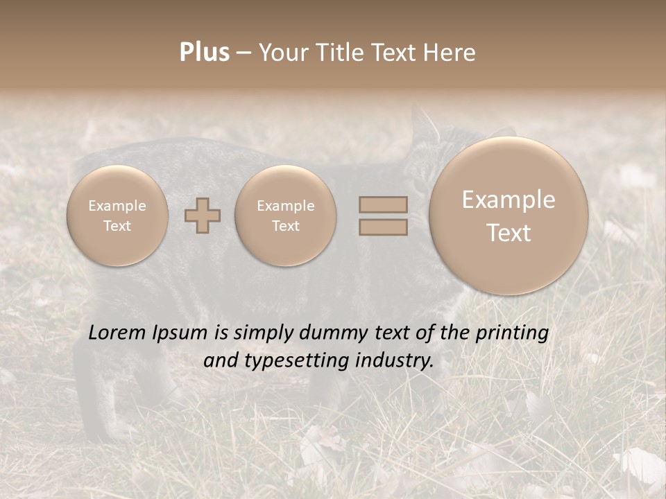A Cat Standing In A Field Of Grass PowerPoint Template