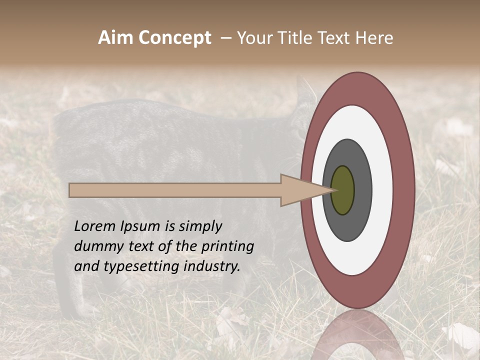 A Cat Standing In A Field Of Grass PowerPoint Template