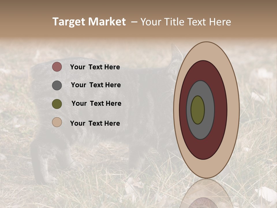 A Cat Standing In A Field Of Grass PowerPoint Template