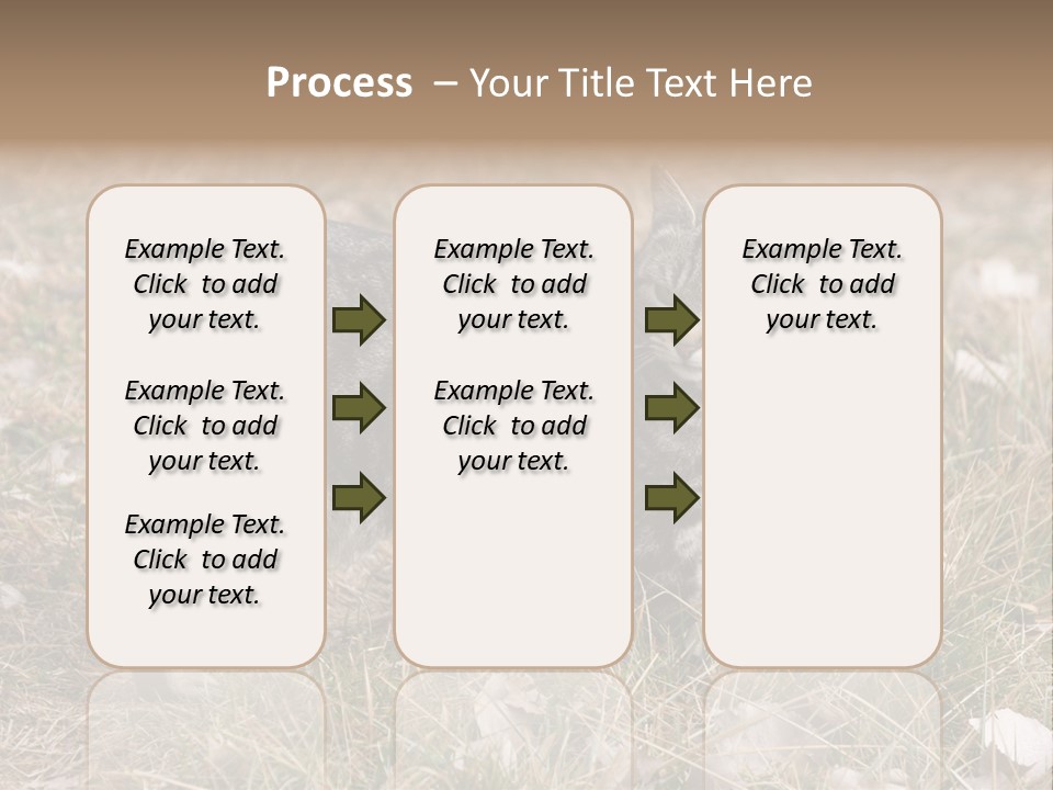 A Cat Standing In A Field Of Grass PowerPoint Template