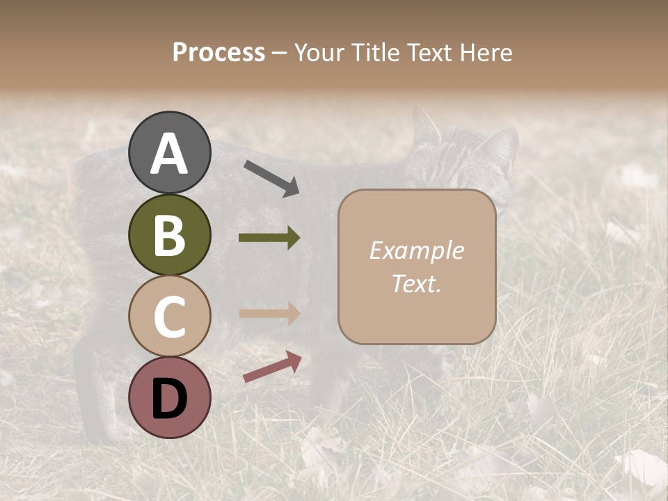 A Cat Standing In A Field Of Grass PowerPoint Template