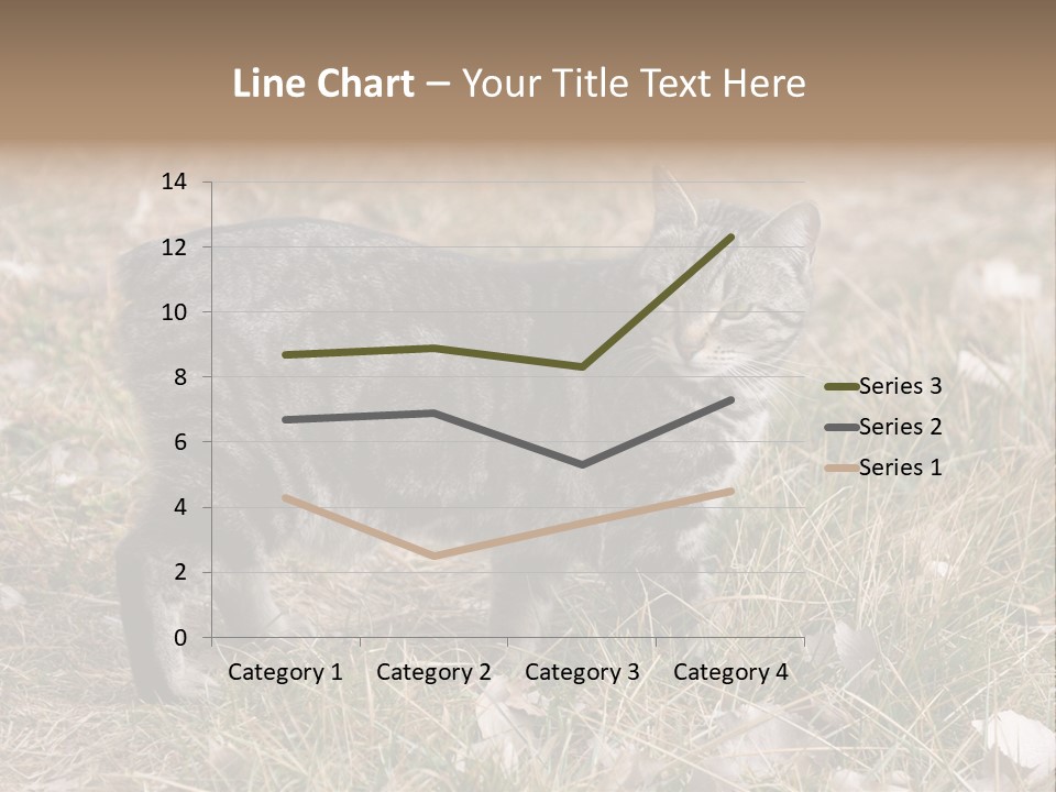 A Cat Standing In A Field Of Grass PowerPoint Template