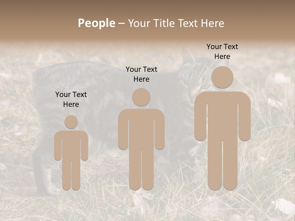 A Cat Standing In A Field Of Grass PowerPoint Template