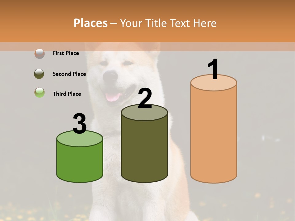 A White And Brown Dog Sitting In A Field Of Flowers PowerPoint Template