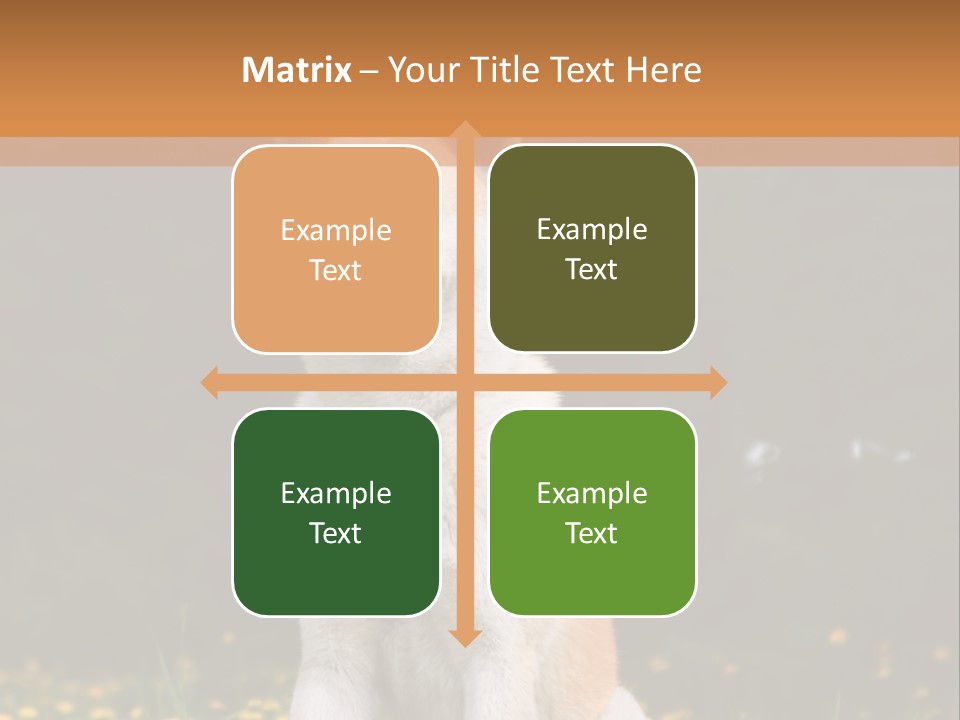 A White And Brown Dog Sitting In A Field Of Flowers PowerPoint Template