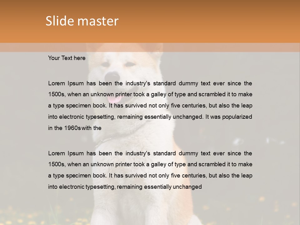 A White And Brown Dog Sitting In A Field Of Flowers PowerPoint Template