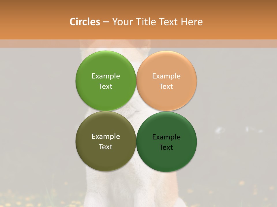 A White And Brown Dog Sitting In A Field Of Flowers PowerPoint Template