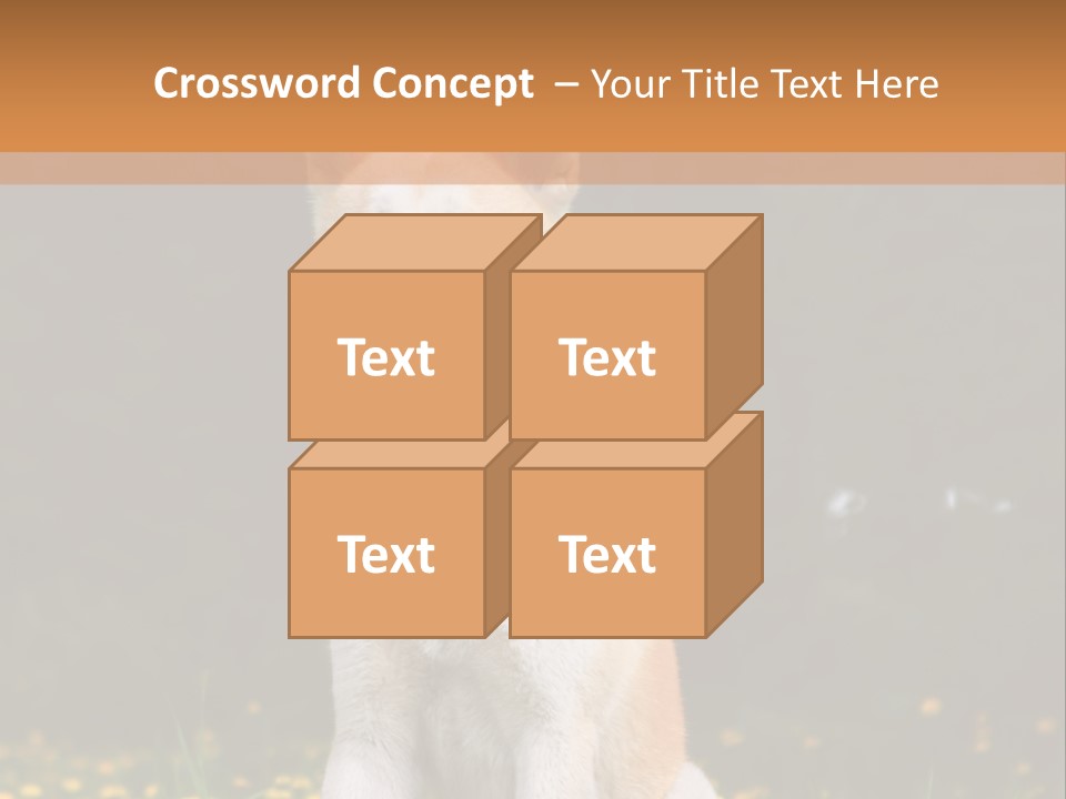 A White And Brown Dog Sitting In A Field Of Flowers PowerPoint Template