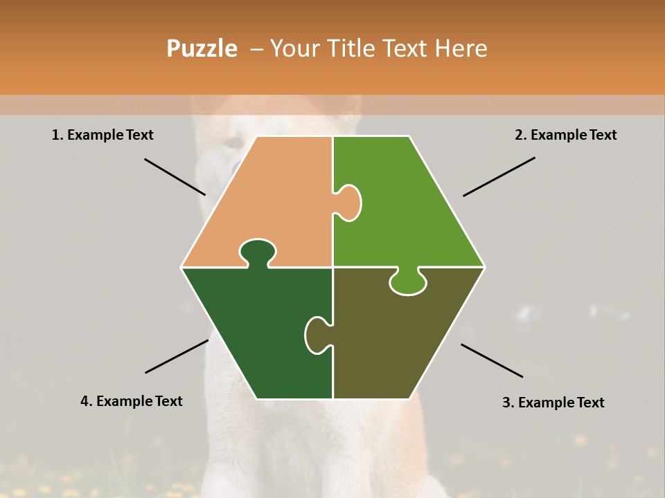 A White And Brown Dog Sitting In A Field Of Flowers PowerPoint Template