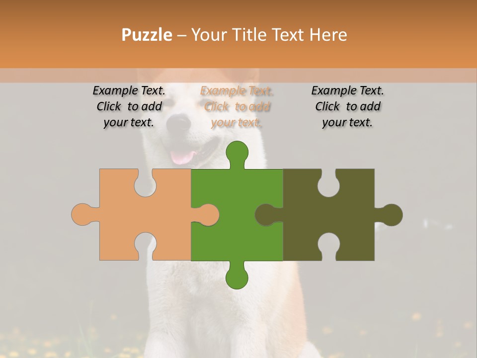 A White And Brown Dog Sitting In A Field Of Flowers PowerPoint Template