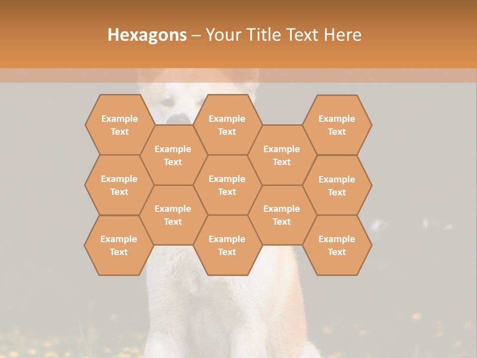 A White And Brown Dog Sitting In A Field Of Flowers PowerPoint Template