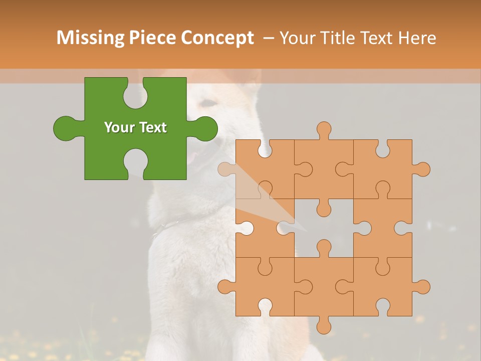 A White And Brown Dog Sitting In A Field Of Flowers PowerPoint Template