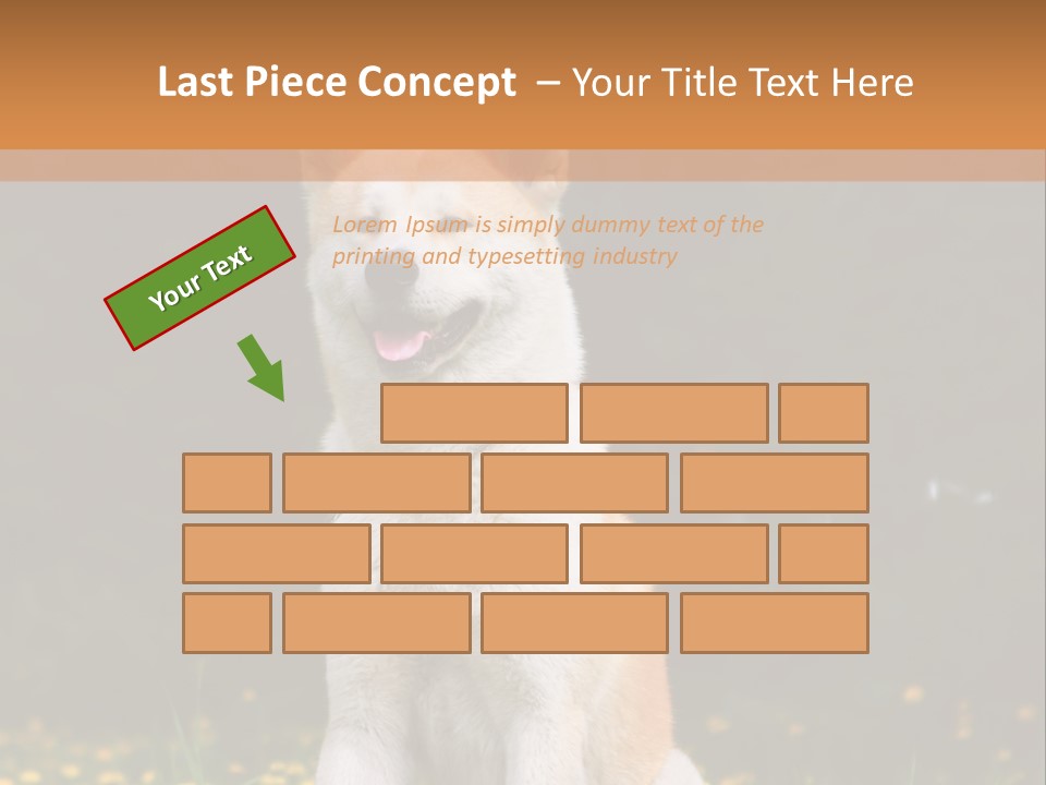 A White And Brown Dog Sitting In A Field Of Flowers PowerPoint Template