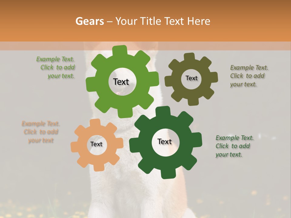 A White And Brown Dog Sitting In A Field Of Flowers PowerPoint Template