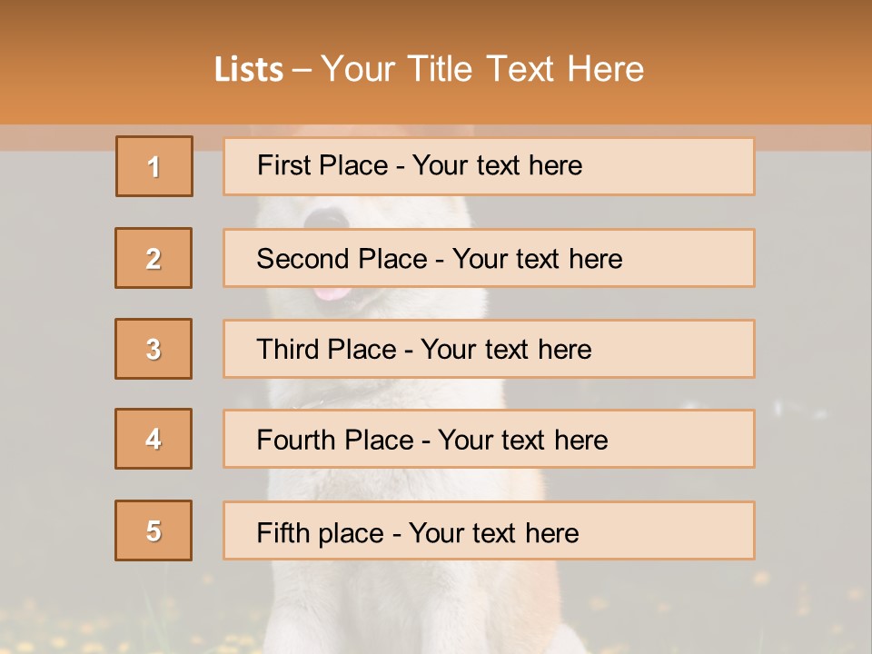 A White And Brown Dog Sitting In A Field Of Flowers PowerPoint Template