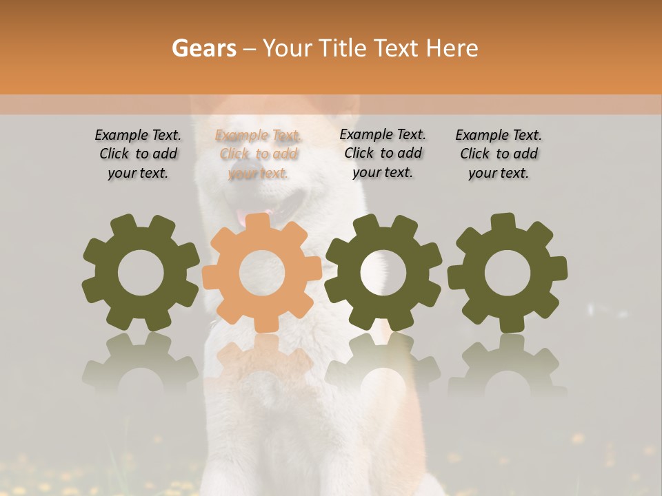 A White And Brown Dog Sitting In A Field Of Flowers PowerPoint Template