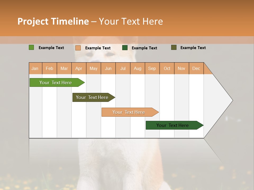 A White And Brown Dog Sitting In A Field Of Flowers PowerPoint Template