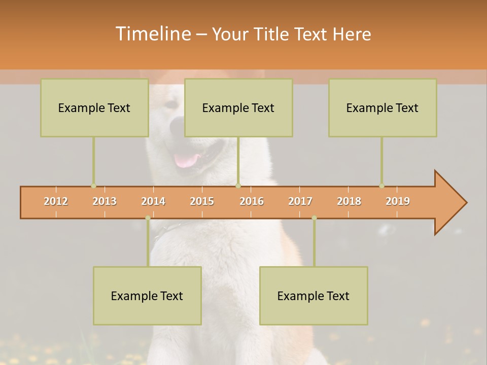 A White And Brown Dog Sitting In A Field Of Flowers PowerPoint Template