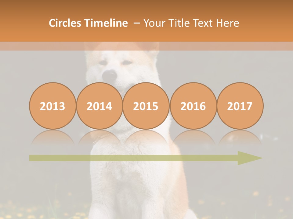 A White And Brown Dog Sitting In A Field Of Flowers PowerPoint Template