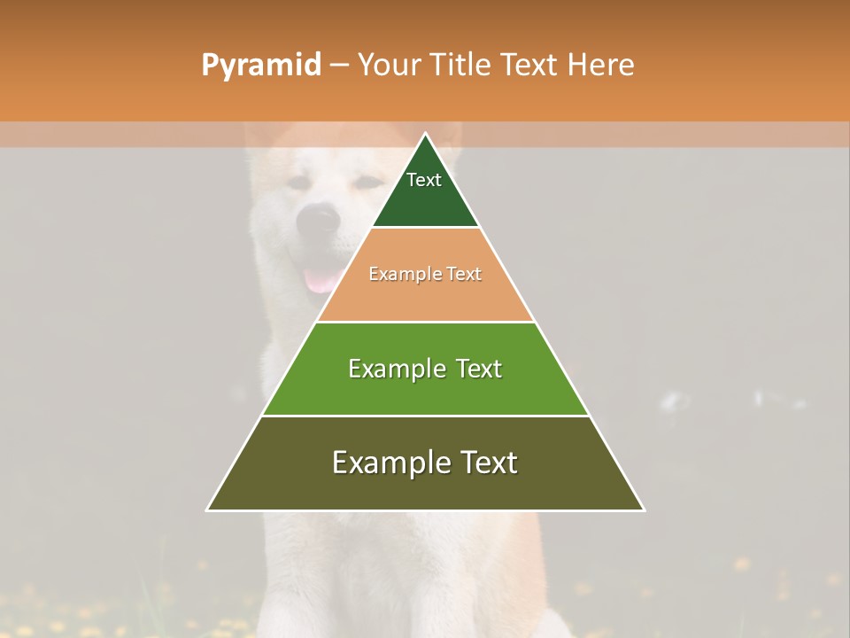 A White And Brown Dog Sitting In A Field Of Flowers PowerPoint Template