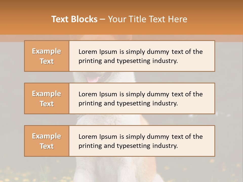 A White And Brown Dog Sitting In A Field Of Flowers PowerPoint Template