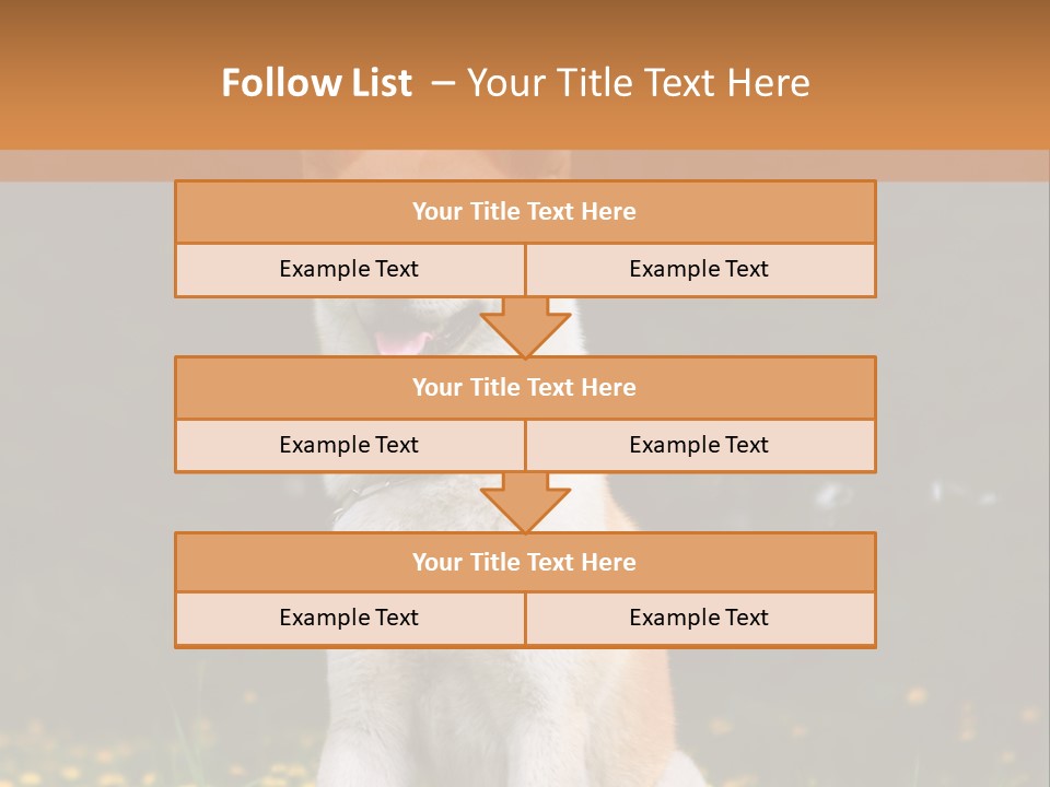 A White And Brown Dog Sitting In A Field Of Flowers PowerPoint Template