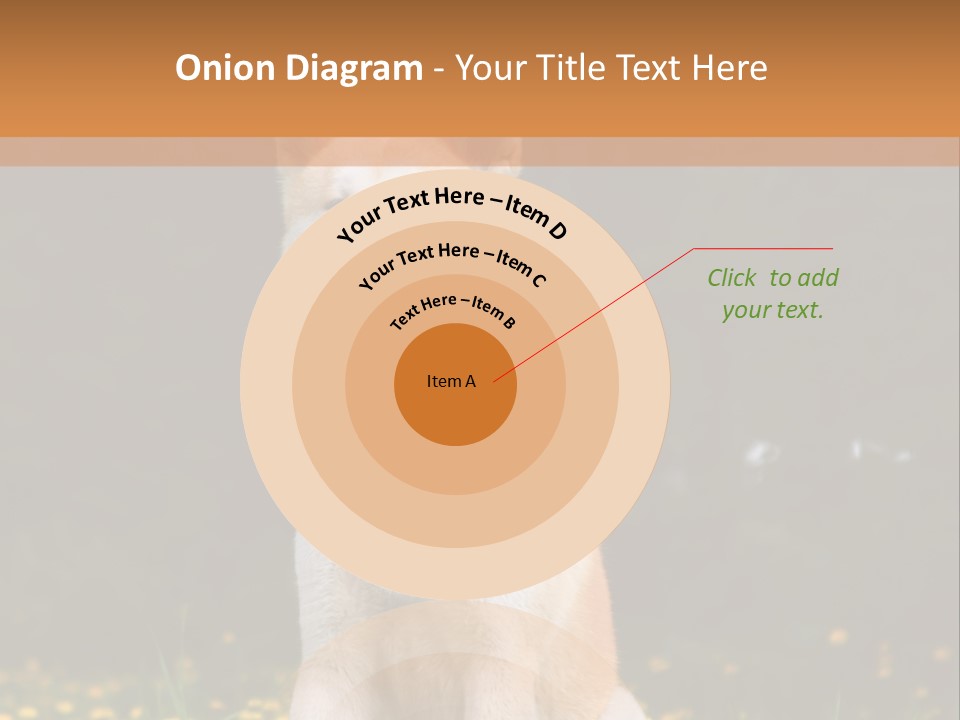 A White And Brown Dog Sitting In A Field Of Flowers PowerPoint Template