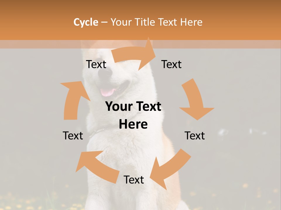 A White And Brown Dog Sitting In A Field Of Flowers PowerPoint Template