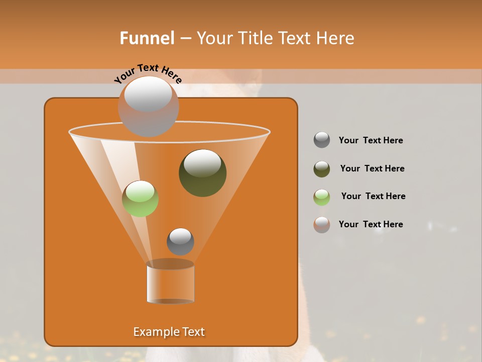 A White And Brown Dog Sitting In A Field Of Flowers PowerPoint Template