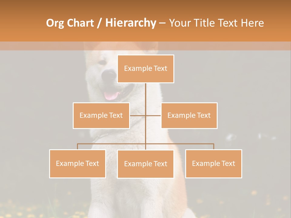 A White And Brown Dog Sitting In A Field Of Flowers PowerPoint Template