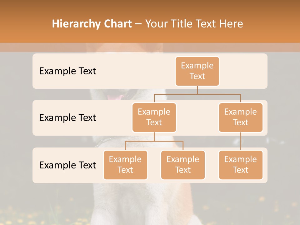A White And Brown Dog Sitting In A Field Of Flowers PowerPoint Template