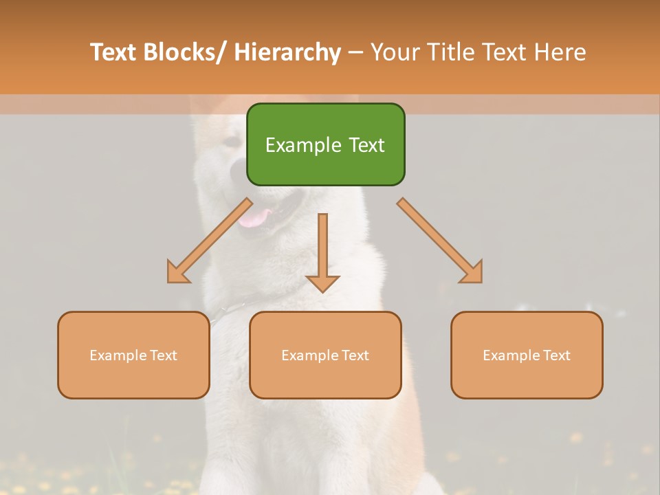 A White And Brown Dog Sitting In A Field Of Flowers PowerPoint Template