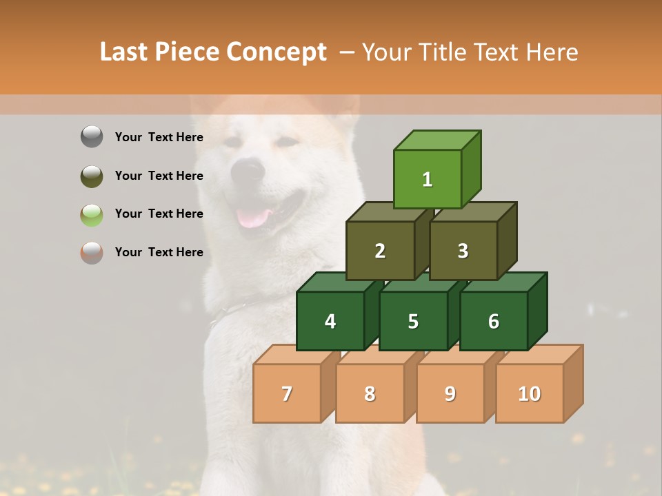 A White And Brown Dog Sitting In A Field Of Flowers PowerPoint Template