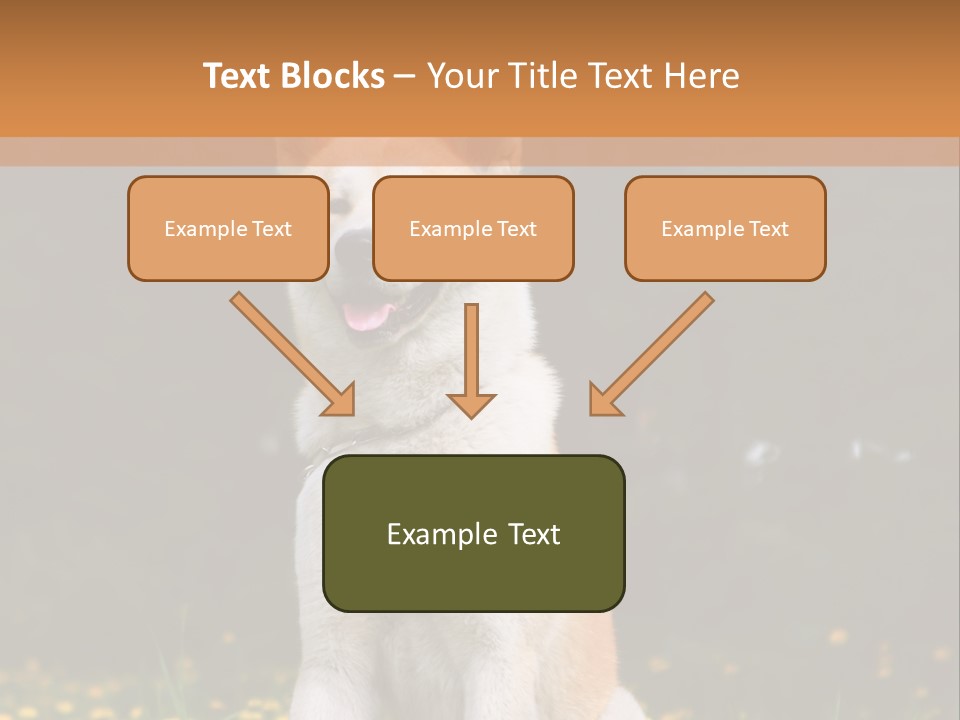 A White And Brown Dog Sitting In A Field Of Flowers PowerPoint Template
