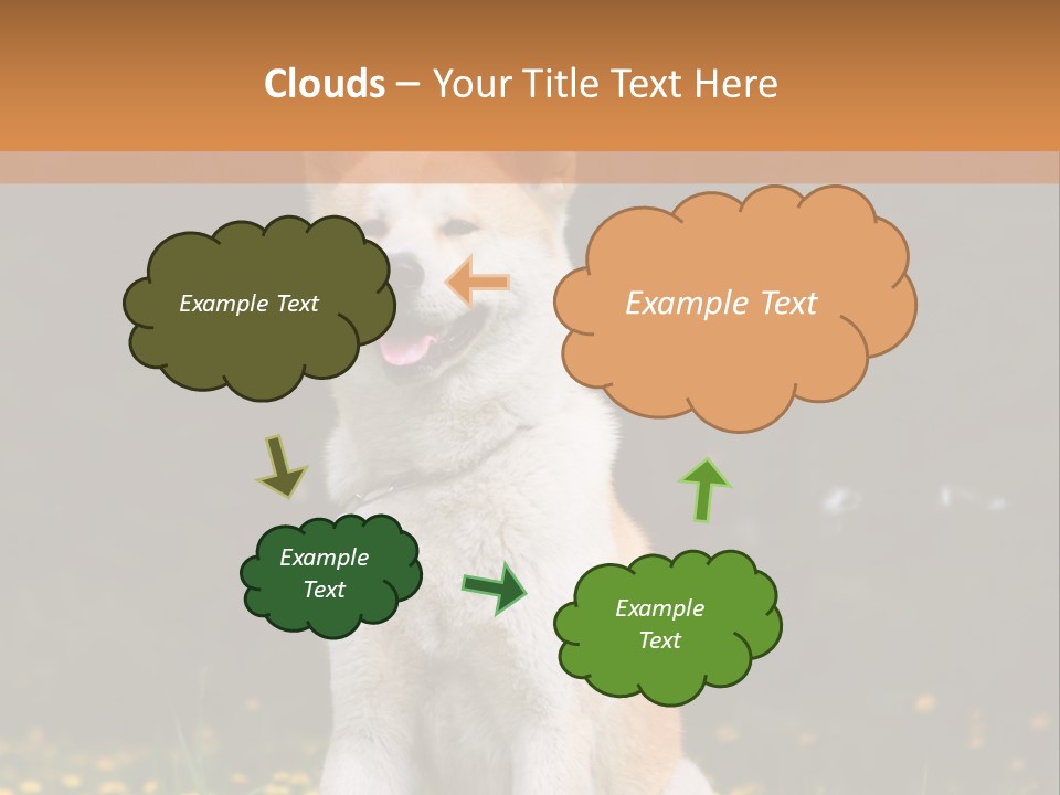 A White And Brown Dog Sitting In A Field Of Flowers PowerPoint Template