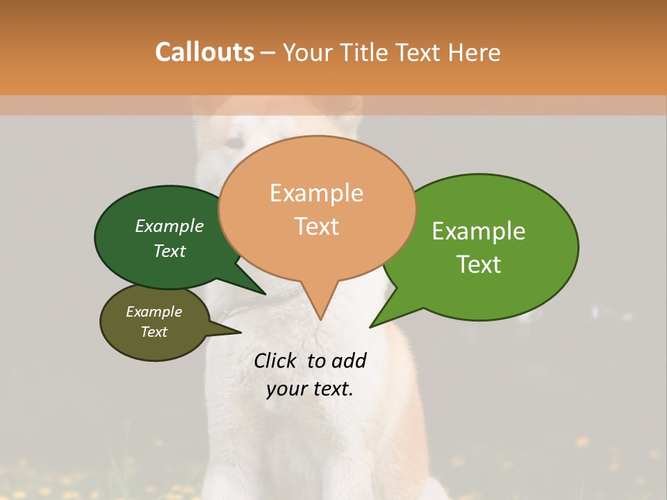 A White And Brown Dog Sitting In A Field Of Flowers PowerPoint Template