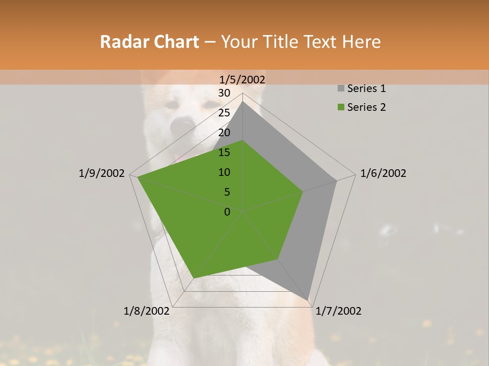 A White And Brown Dog Sitting In A Field Of Flowers PowerPoint Template