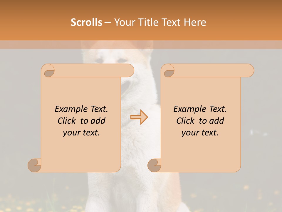 A White And Brown Dog Sitting In A Field Of Flowers PowerPoint Template